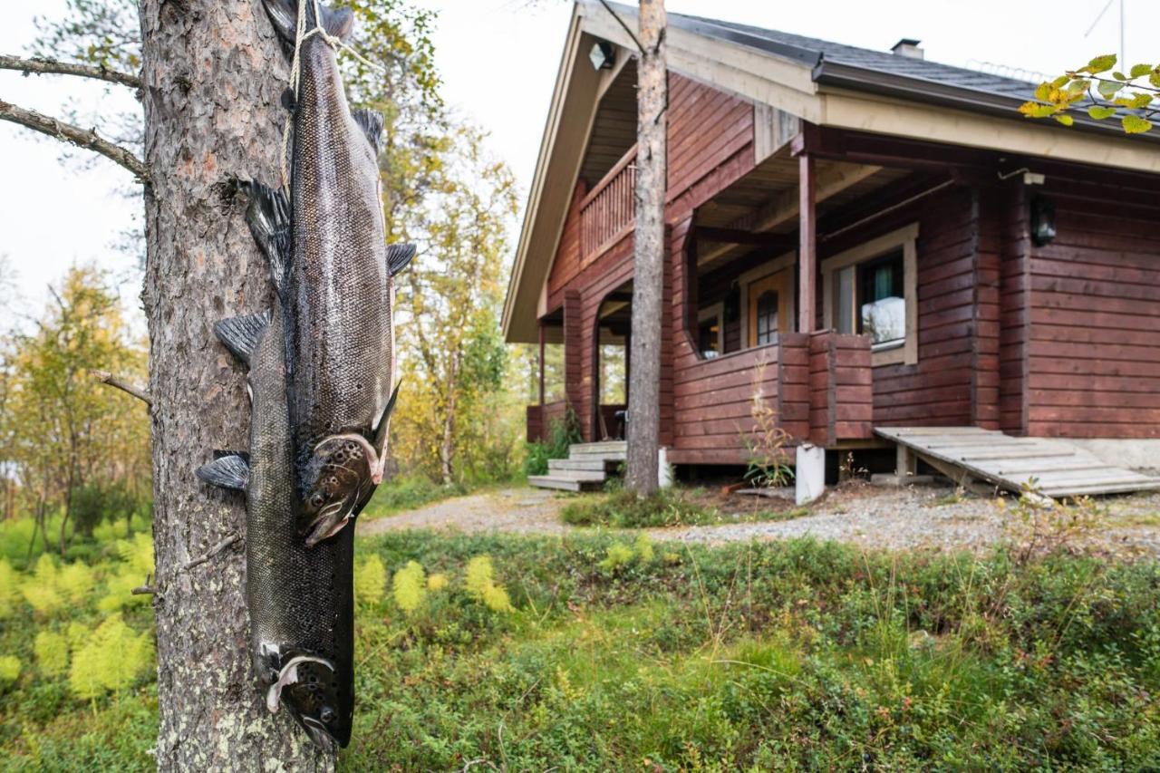 Luongasloma Chalets Palojoensuu Bagian luar foto